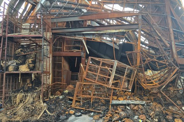 WhatsApp Image 2025-11-28 at 1.33.46 AM (3)